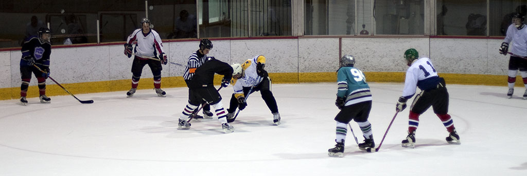 dgt_hockey (12)
